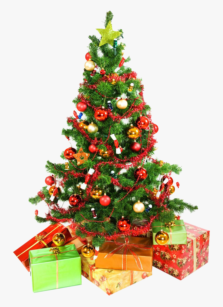 Christmas Tree Presents Underneath Png Image - White Background Christmas Tree, Transparent Png, Free Download