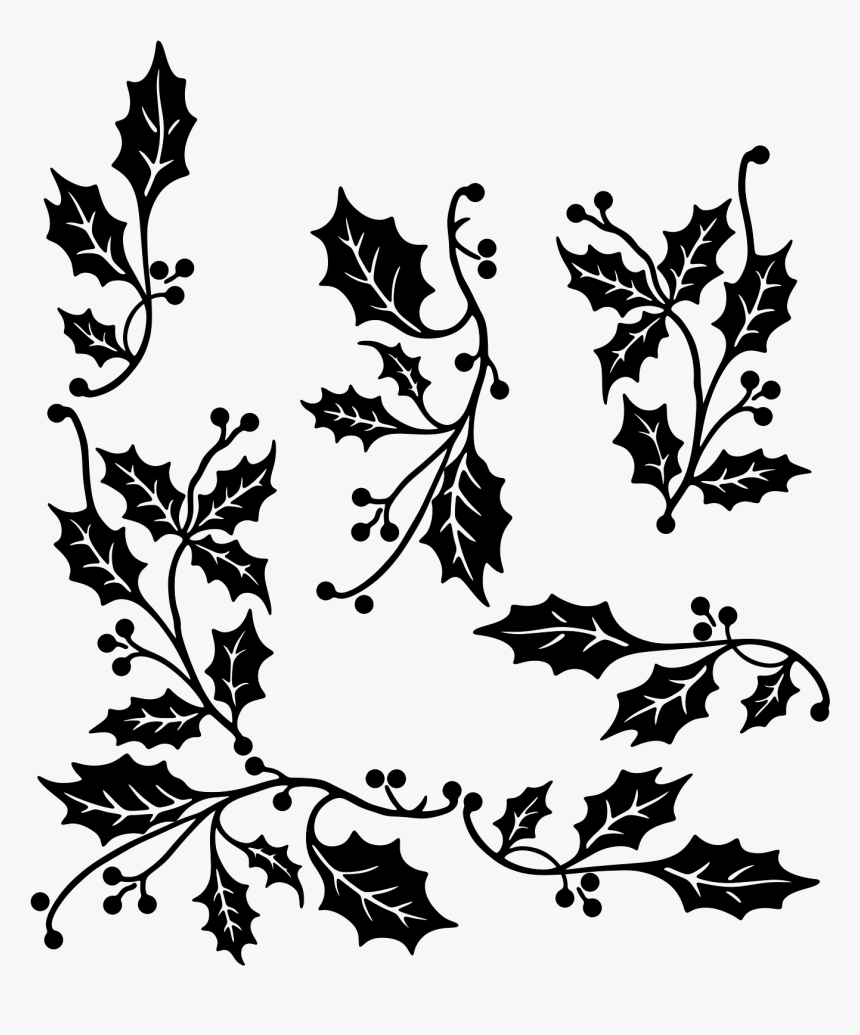 Holly Leaf Vector - Holly Branch Clip Art Black And White, HD Png Download, Free Download