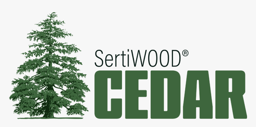Transparent Cedar Tree Png - Himalayan Cedar Tree, Png Download, Free Download