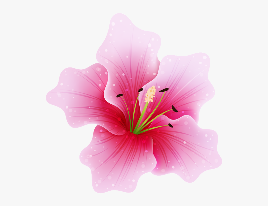 Hawaiian-hibiscus - Pink Png Flower, Transparent Png, Free Download
