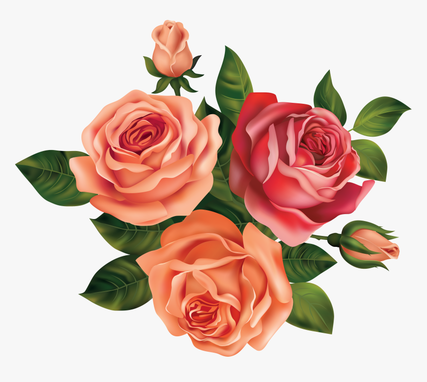 Drawing Rose Beautiful Flower - Beautiful Flower Rose Drawing, HD Png Download, Free Download