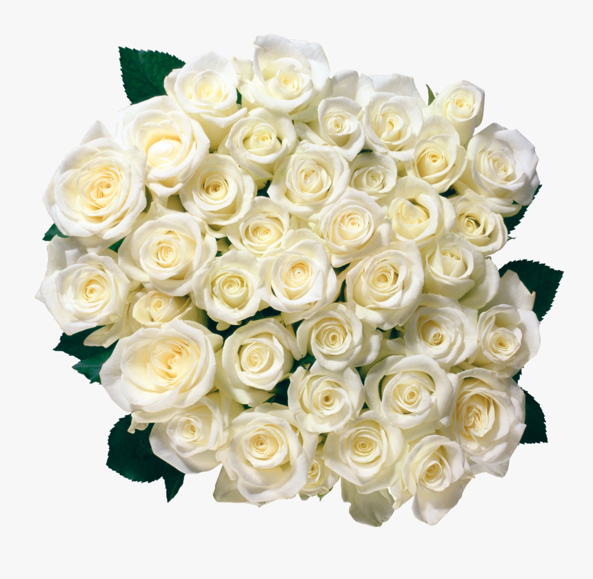 White Rose Png Image, Flower White Rose Png Picture - White Roses Png, Transparent Png, Free Download