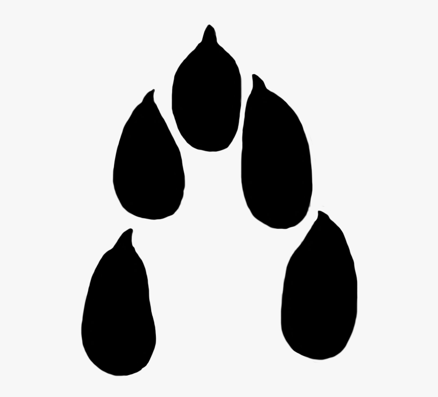 Hare Paw Print Clipart 30 Mm - Harspår, HD Png Download, Free Download