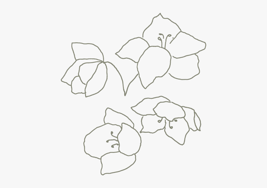 Hellebore - Flowers Grey, HD Png Download, Free Download