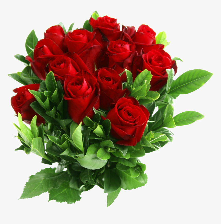 Transparent Rose Flowers Png - Red Rose Flower Png, Png Download, Free Download