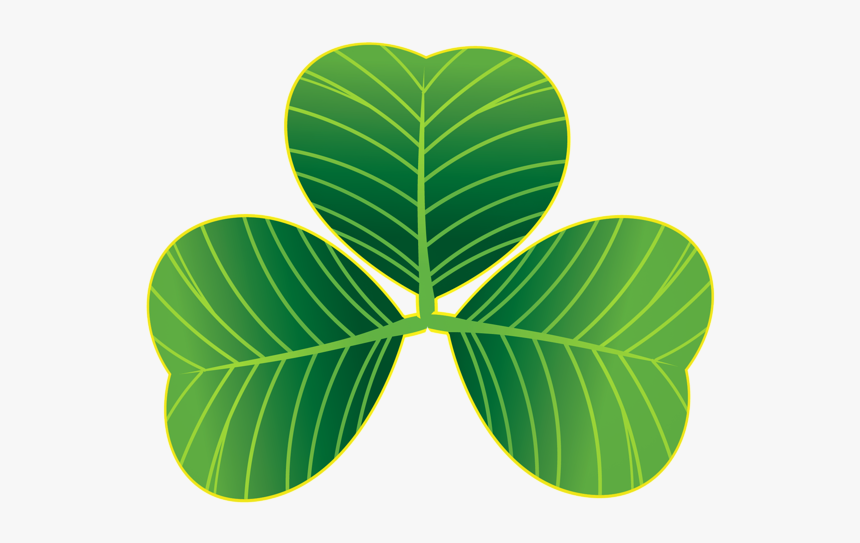 Shamrock, HD Png Download, Free Download