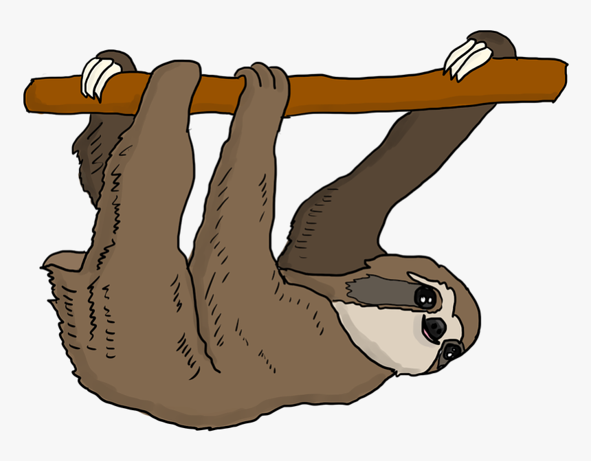 Sloth Png - Love Hanging Out With You, Transparent Png, Free Download