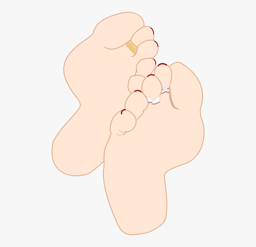 Ear,neck,leg - Soles Clipart, HD Png Download, Free Download