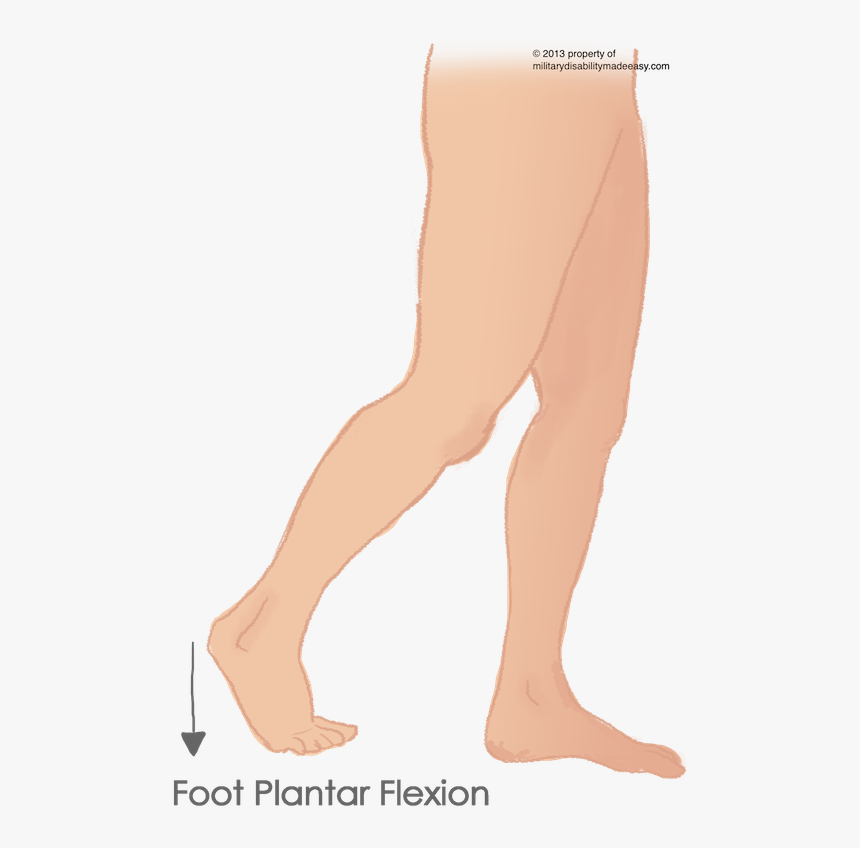 Foot In Plantar Flexion, HD Png Download, Free Download