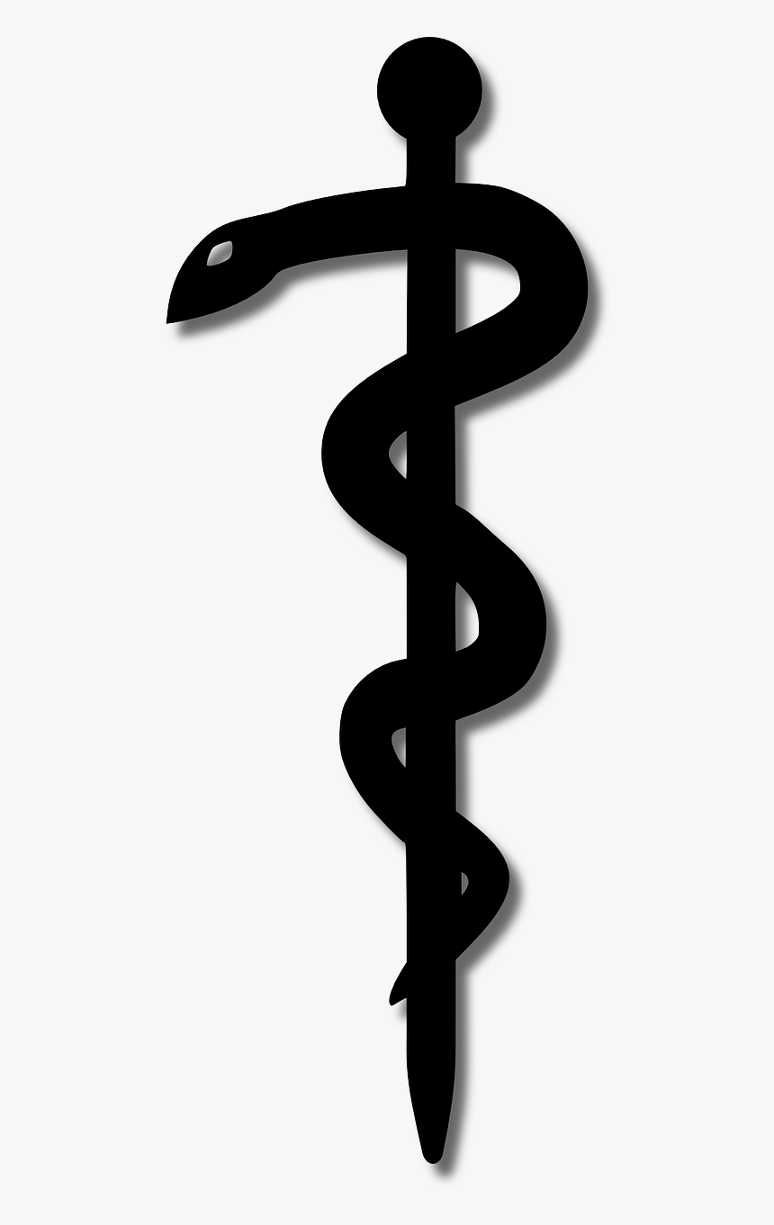 Cancer Of Symbol Rod Medicine Asclepius Clipart - Aesculap Logo, HD Png Download, Free Download