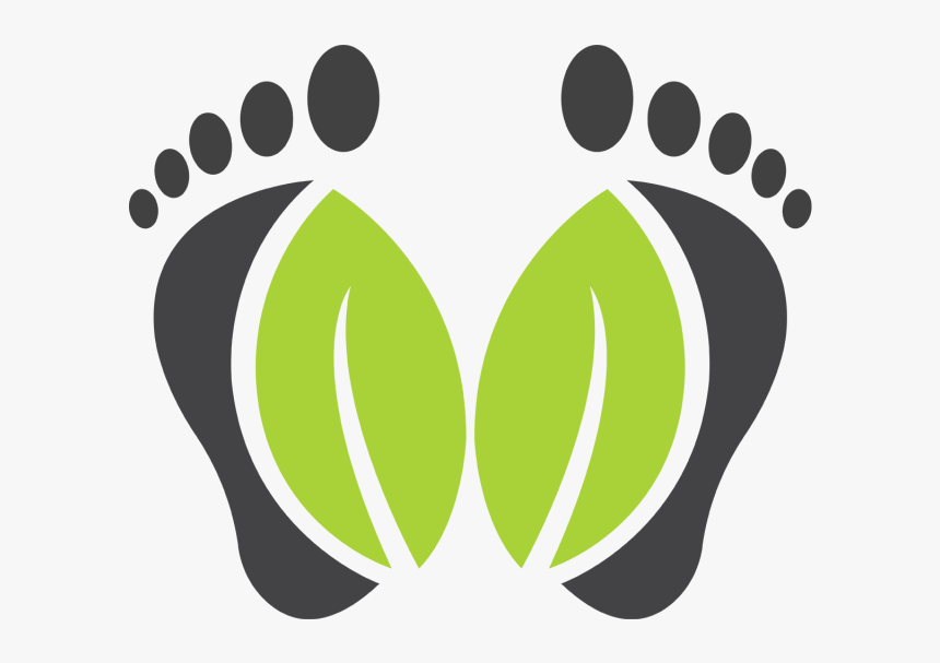 Medicine Vector Herbal Foot S Logo Hd Png Download Kindpng