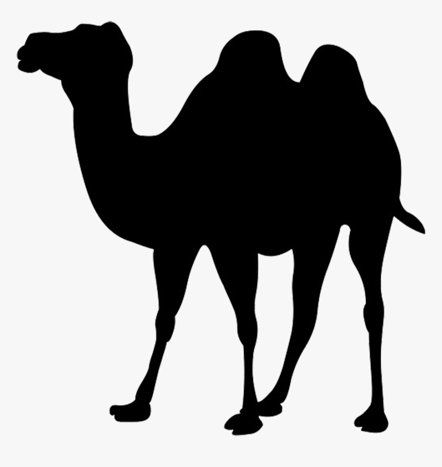 Mark Zuckerberg Png Clipart - Camel Silhouette Png, Transparent Png, Free Download