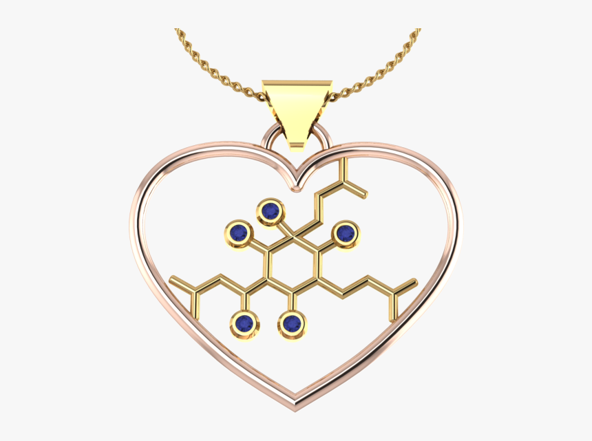 Heart Necklace Png, Transparent Png, Free Download