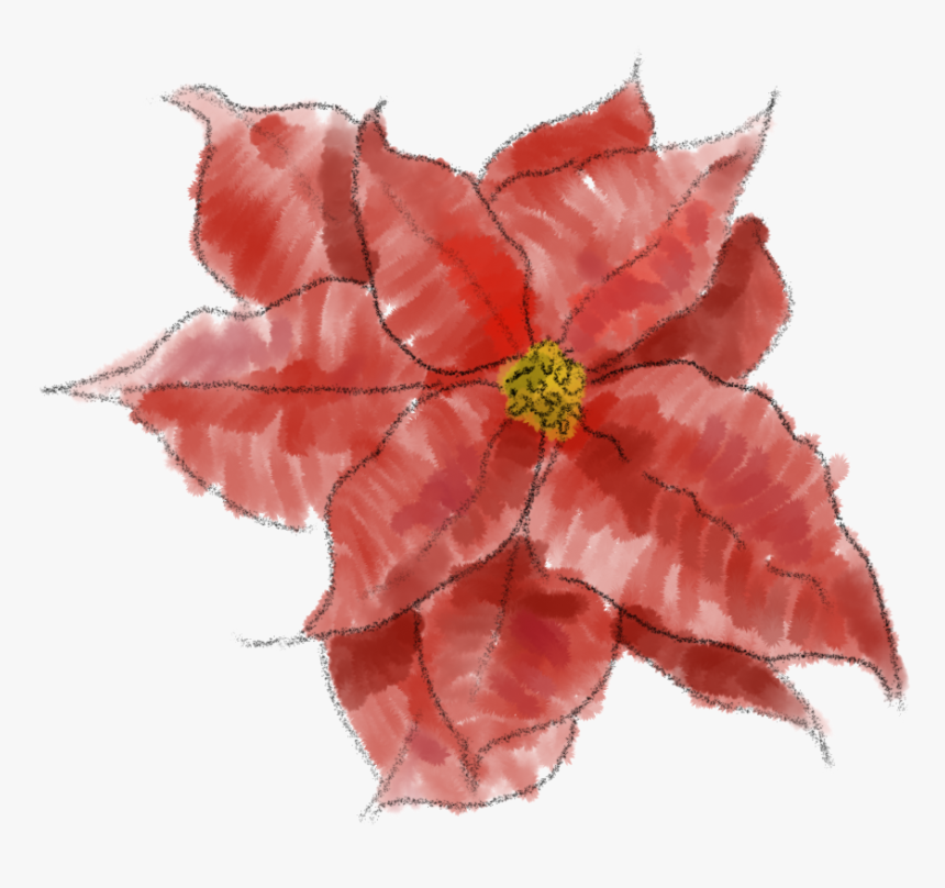 Poinsettia Png Image - Poinsettia Pink Png, Transparent Png, Free Download