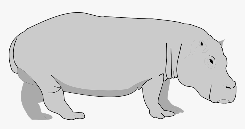 Transparent Background Hippo Clipart, HD Png Download, Free Download