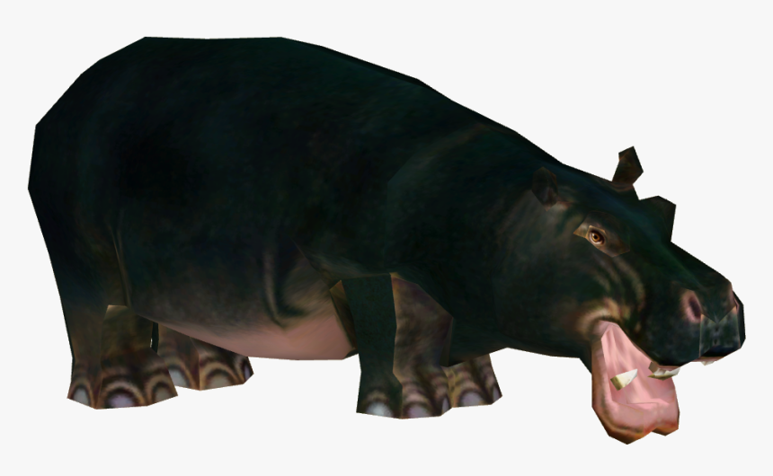 Hippopotamus, HD Png Download, Free Download