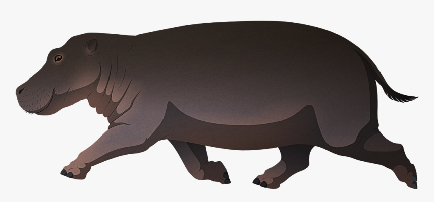 Island Weirdness - Hippopotamus, HD Png Download, Free Download