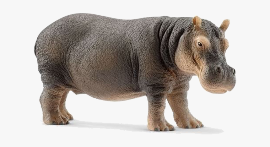 Schleich Hippo, HD Png Download, Free Download