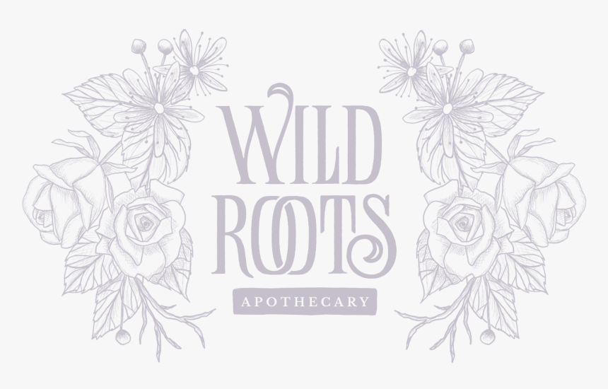 Wild Roots Apothecary - Sketch, HD Png Download, Free Download