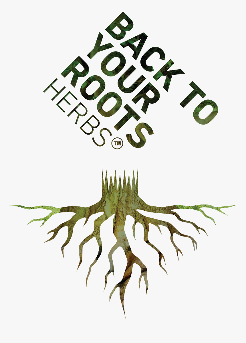 Plant Roots Png, Transparent Png, Free Download