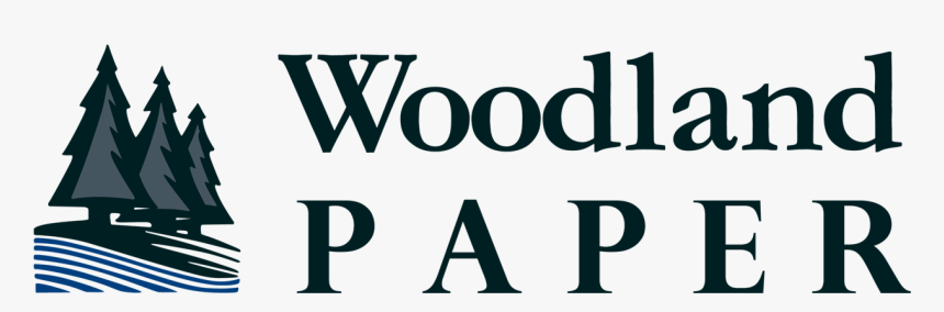 Woodland Paper - Swan Library, HD Png Download, Free Download