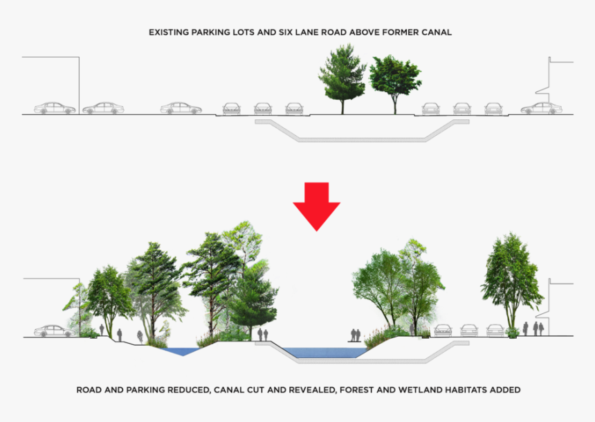 Section Cut Landscape Architecture, HD Png Download, Free Download