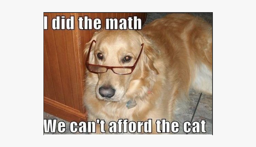 Dog Memes I Did The Math We Can T Afford The Cat, HD Png Download, Free Download
