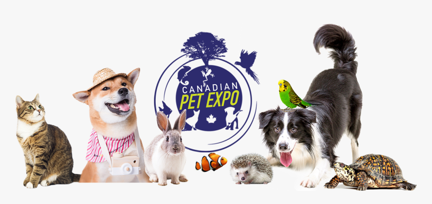 Canadian Pet Expo, HD Png Download, Free Download