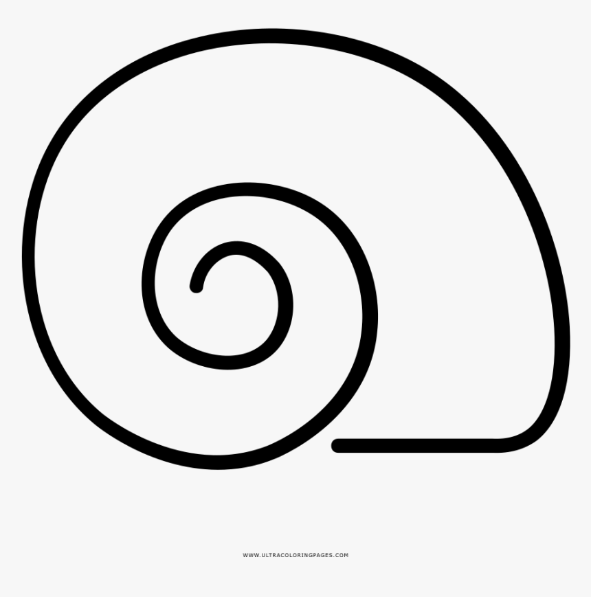 Snail Shell Coloring Page - Caparazon De Caracol Dibujo, HD Png Download, Free Download