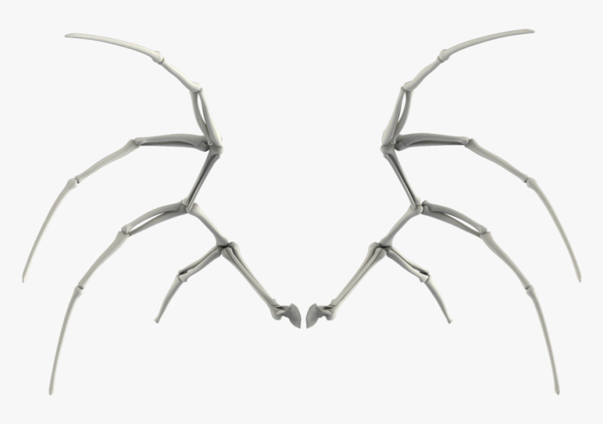 Bone Wings Png - Bone Wings, Transparent Png, Free Download