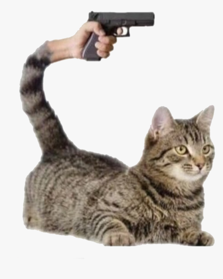 Transparent, Pngs, And Ig - You Mess With The Meow Meow You Get The Peow Peow, Png Download, Free Download