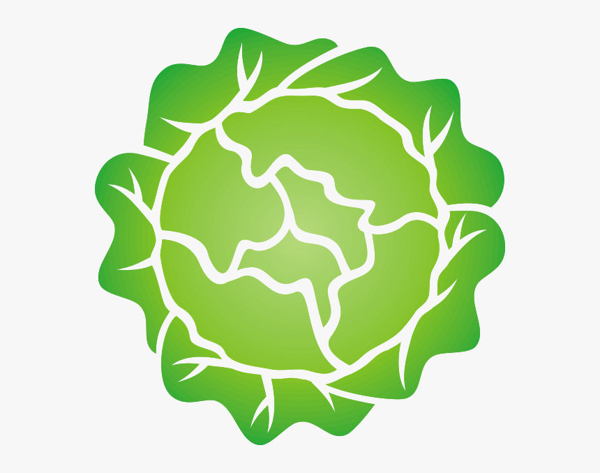 Head Of Lettuce Svg Clip Arts - Head Of Lettuce Clipart, HD Png Download, Free Download
