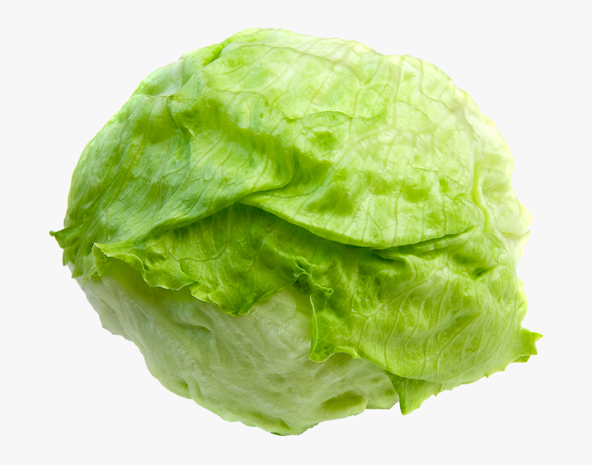 Lettuce Clipart Lettuce Slice - Head Of Lettuce Transparent Background, HD Png Download, Free Download