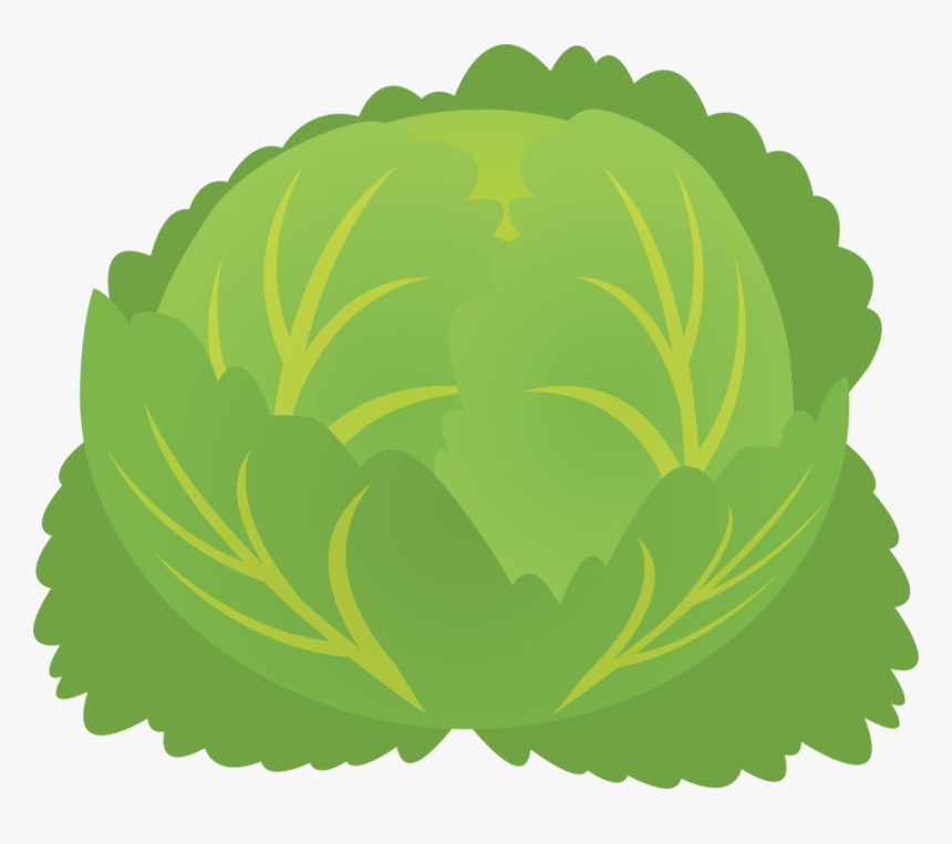 Plant,leaf,lettuce - Illustration, HD Png Download, Free Download