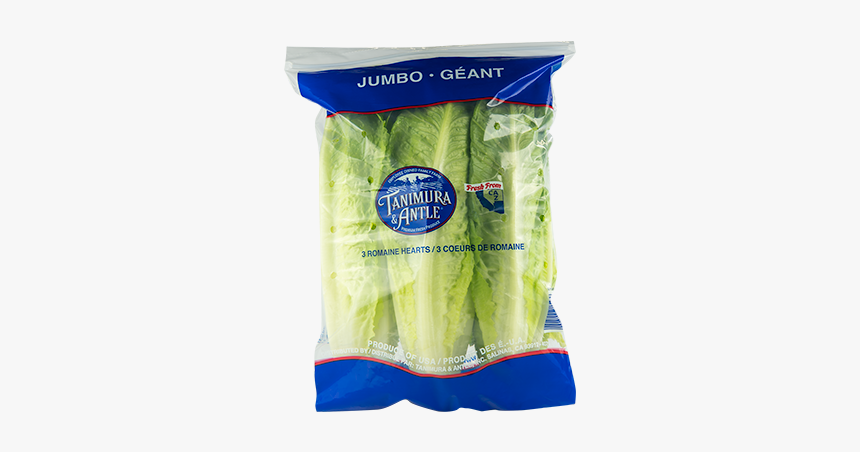 Romaine Lettuce, HD Png Download, Free Download