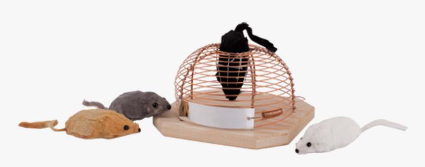 Humane Non-lethal Mouse Trap In Beech Wood And Metal - Mouse, HD Png Download, Free Download