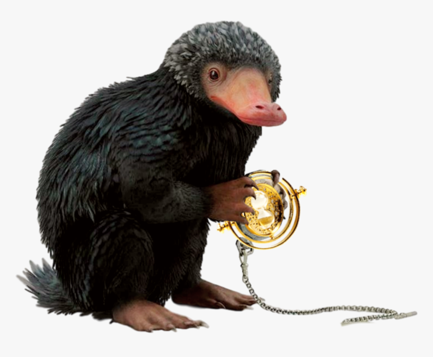 #knightbus #sirnigel #niffler #timeturner #fantasticbeasts - Harry Potter Png, Transparent Png, Free Download