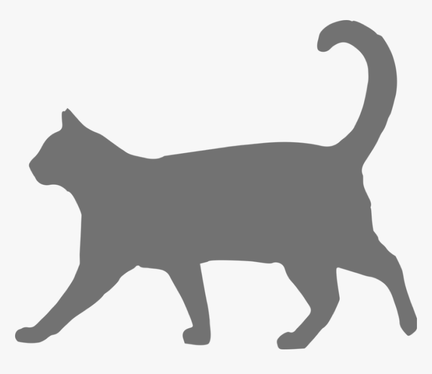 Grey Cat Walking Icon - Transparent Background Black Cat Png, Png Download, Free Download