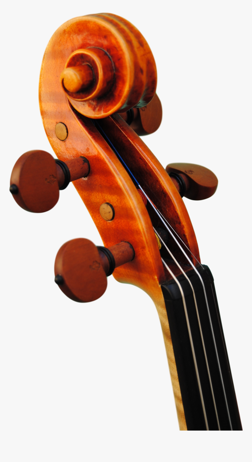 Violin, HD Png Download, Free Download