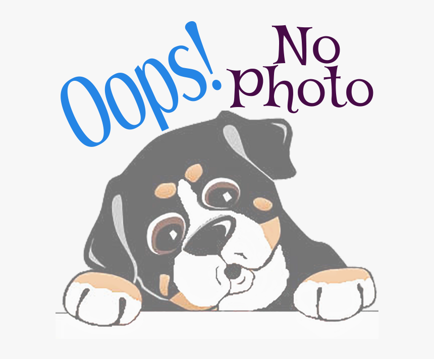 Appenzeller Sennenhund, HD Png Download, Free Download