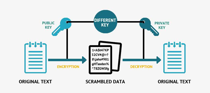 Asymmetric Cryptography, HD Png Download, Free Download