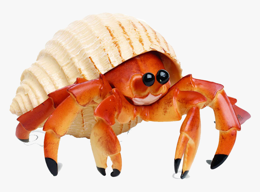 Crab Png Photo Background - Hermet Crab, Transparent Png, Free Download
