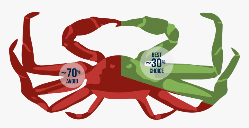 Red King Crab - King Crab 9 12, HD Png Download, Free Download