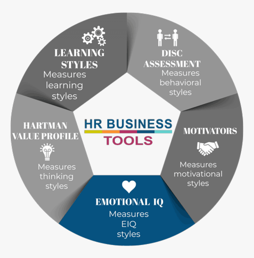 Learning Styles In Hr, HD Png Download, Free Download
