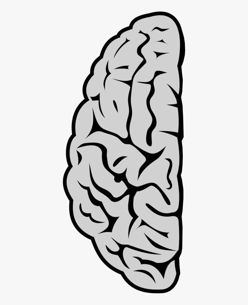 Brain Computer Interface Png Clipart , Png Download - Brain And Motherboard, Transparent Png, Free Download