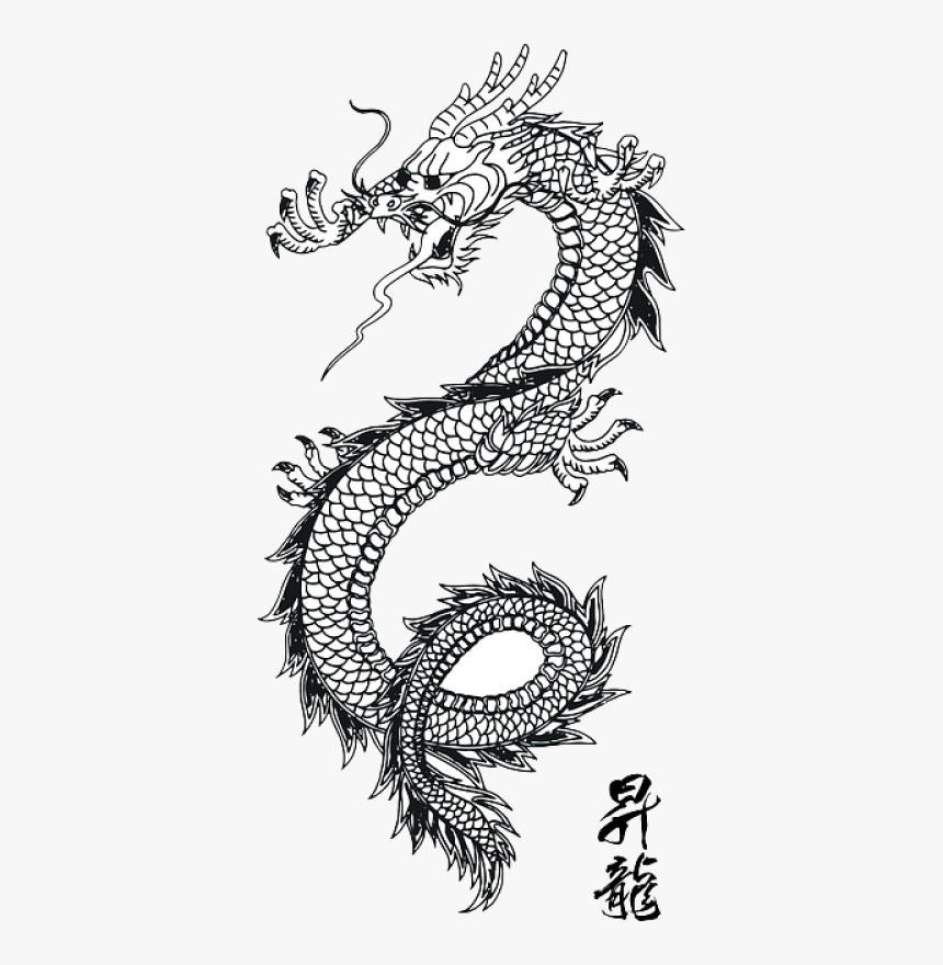 Lotus Tattoo Design For Hand Transparent Japanese Dragon Png Png Download Kindpng