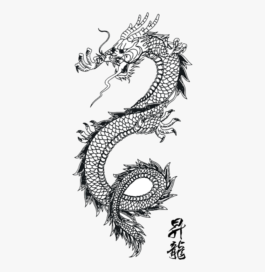 Dragon And Lotus Flower Tattoos Best Flower Site