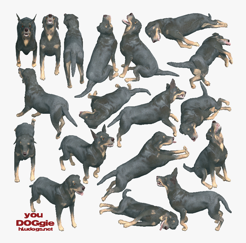 Dobermann, HD Png Download, Free Download