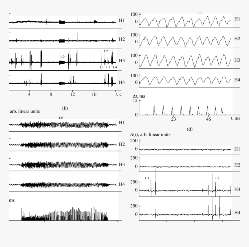 Probing Signals Used By The Beluga Whale In Searching - Sheet Music, HD Png Download, Free Download