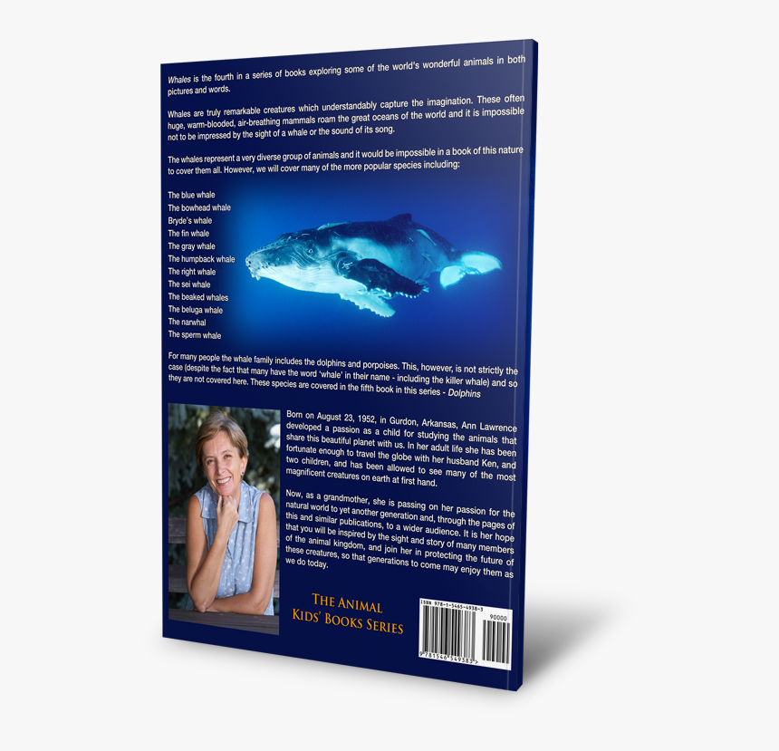 Beluga Whale Png, Transparent Png, Free Download